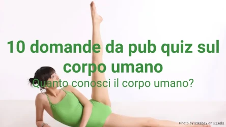 10 domande da pub quiz sul corpo umano