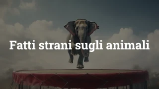 Quiz: fatti strani sugli animali
