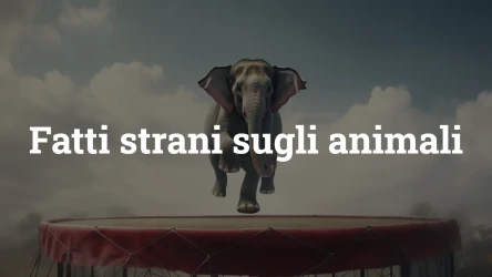 Quiz: fatti strani sugli animali