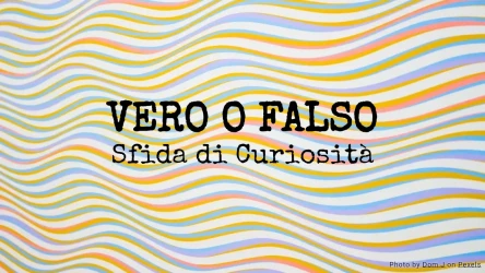 Vero o falso: Sfida di curiosità