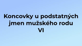 Kvíz: Koncovky u podstatných jmen mužského rodu (6)