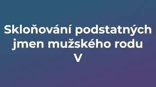 Kvíz: Skloňování podstatných jmen mužského rodu (5)