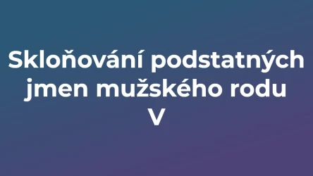 Kvíz: Skloňování podstatných jmen mužského rodu (5)