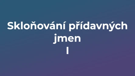 Kvíz: Skloňování přídavných jmen (1)
