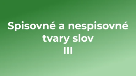 Kvíz: Spisovné a nespisovné tvary slov (3)
