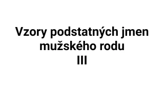 Kvíz: Vzory podstatných jmen mužského rodu (3)
