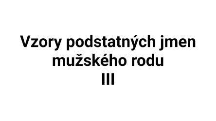 Kvíz: Vzory podstatných jmen mužského rodu (3)