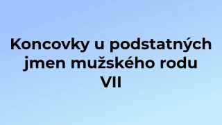 Kvíz: Koncovky u podstatných jmen mužského rodu (7)