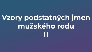 Kvíz: Vzory podstatných jmen mužského rodu (2)