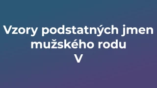 Kvíz: Vzory podstatných jmen mužského rodu (5)