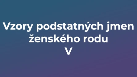 Kvíz: Vzory podstatných jmen ženského rodu (5)