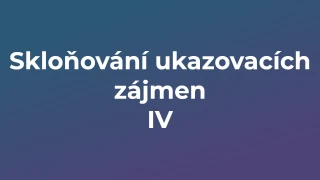 Kvíz: Skloňování ukazovacích zájmen (4)