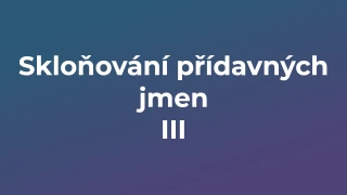 Kvíz: Skloňování přídavných jmen (3)