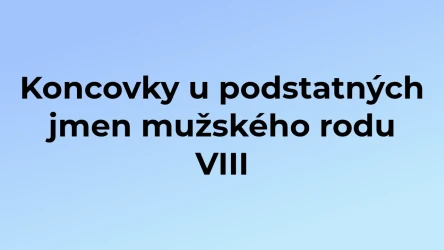 Kvíz: Koncovky u podstatných jmen mužského rodu (8)