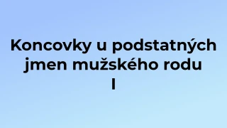 Kvíz: Koncovky u podstatných jmen mužského rodu (1)