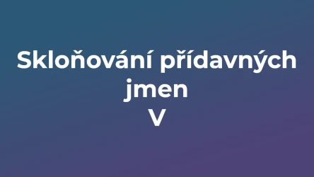 Kvíz: Skloňování přídavných jmen (5)