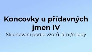 Kvíz: Koncovky u přídavných jmen (4)
