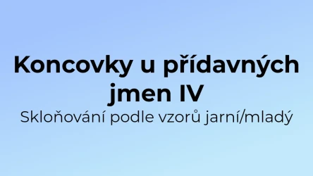 Kvíz: Koncovky u přídavných jmen (4)