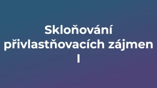 Kvíz: Skloňování přivlastňovacích zájmen (1)