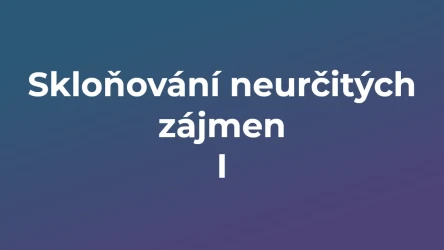 Kvíz: Skloňování neurčitých zájmen (1)