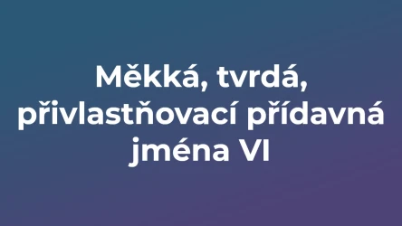 Kvíz: Měkká, tvrdá, přivlastňovací přídavná jména (6)