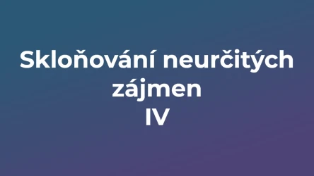 Kvíz: Skloňování neurčitých zájmen (4)