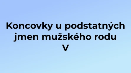 Kvíz: Koncovky u podstatných jmen mužského rodu (5)