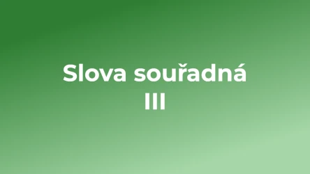 Kvíz: Slova souřadná (3)