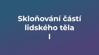 Kvíz: Skloňování částí lidského těla (1)