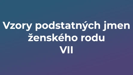 Kvíz: Vzory podstatných jmen ženského rodu (7)