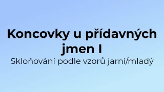 Kvíz: Koncovky u přídavných jmen (1)