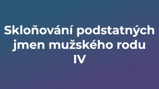 Kvíz: Skloňování podstatných jmen mužského rodu (4)