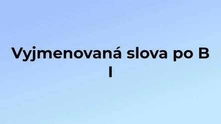 Kvíz: Vyjmenovaná slova po B (1)