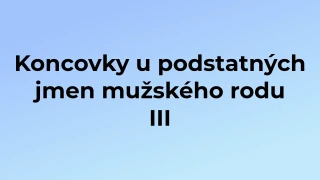 Kvíz: Koncovky u podstatných jmen mužského rodu (3)