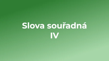 Kvíz: Slova souřadná (4)