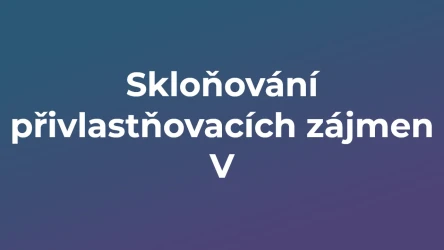 Kvíz: Skloňování přivlastňovacích zájmen (5)
