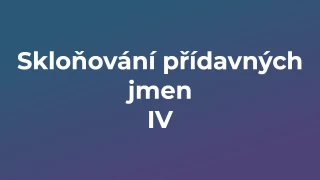 Kvíz: Skloňování přídavných jmen (4)