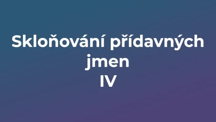 Kvíz: Skloňování přídavných jmen (4)