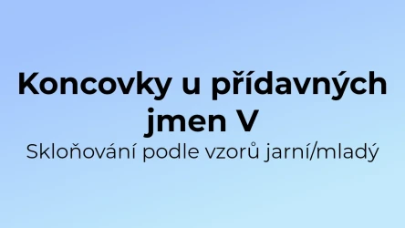 Kvíz: Koncovky u přídavných jmen (5)