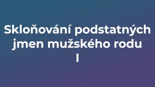 Kvíz: Skloňování podstatných jmen mužského rodu (1)
