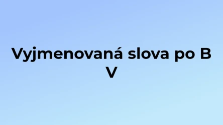 Kvíz: Vyjmenovaná slova po B (5)