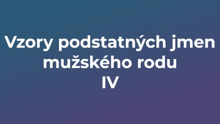 Kvíz: Vzory podstatných jmen mužského rodu (4)