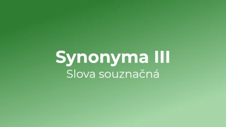 Kvíz: Synonyma (3)