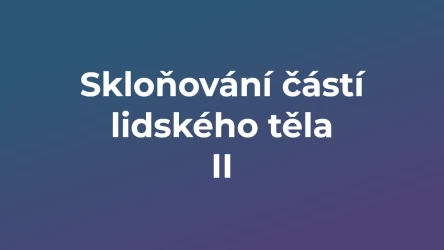 Kvíz: Skloňování částí lidského těla (2)