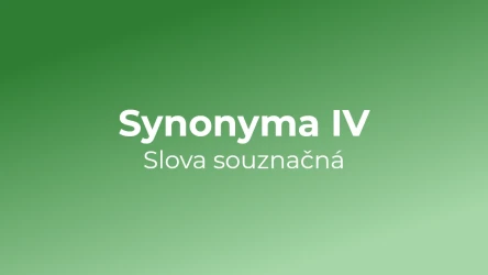 Kvíz: Synonyma (4)
