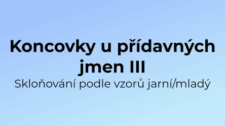 Kvíz: Koncovky u přídavných jmen (3)