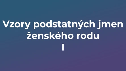 Kvíz: Vzory podstatných jmen ženského rodu (1)