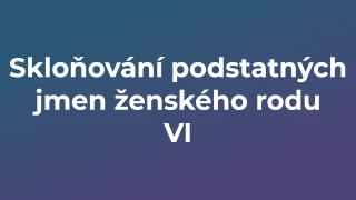 Kvíz: Skloňování podstatných jmen ženského rodu (6)
