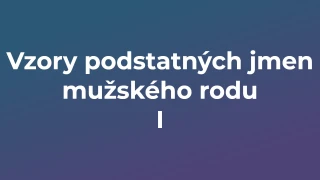 Kvíz: Vzory podstatných jmen mužského rodu (1)