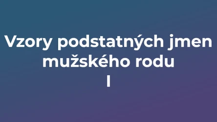 Kvíz: Vzory podstatných jmen mužského rodu (1)